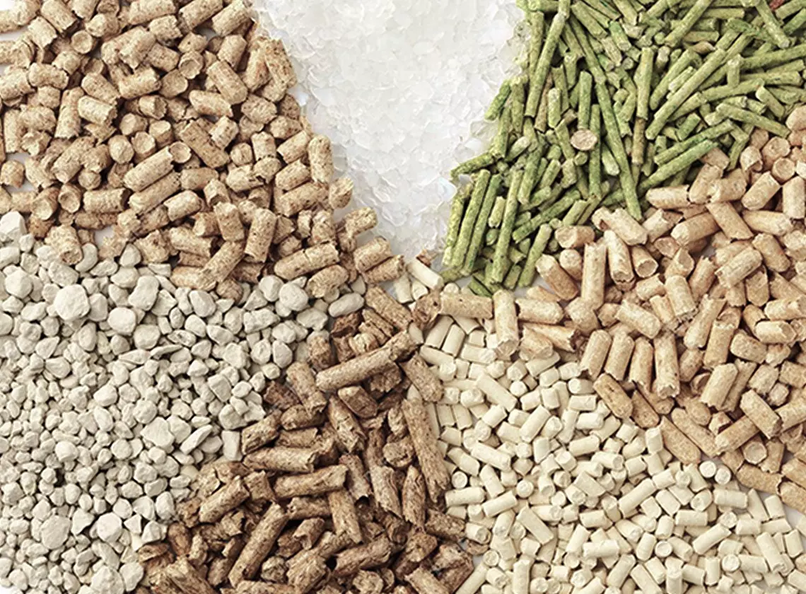 Feed Ingredients for Livestock: How to Increase Productivity Through the Right Diet